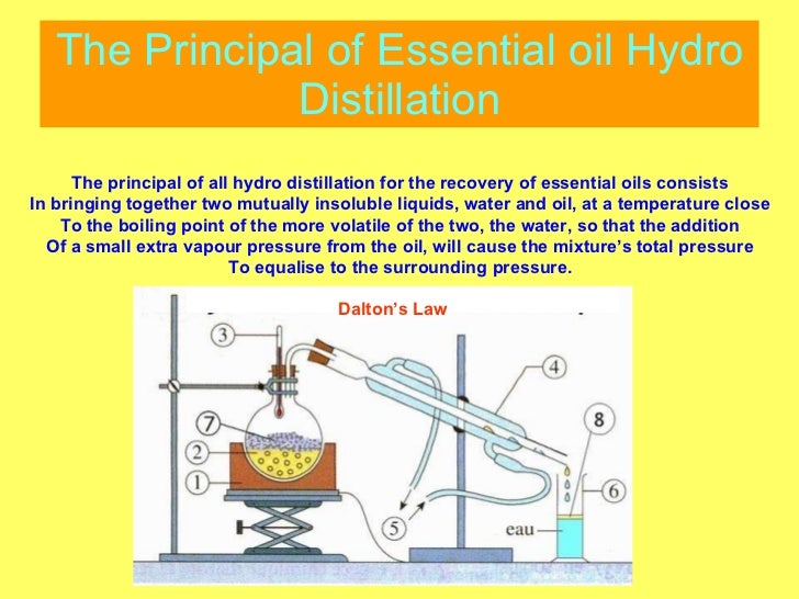 Essential oils presentation