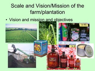 Scale and Vision/Mission of the
farm/plantation
• Vision and mission and objectives
 