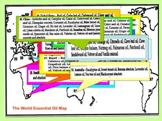 The World Essential Oil Map
 