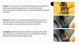 Lemon: This citrus oil is not only refreshing but also has powerful
cleaning and purifying properties. It's great for skin care,
improving mood, and can be used as a natural disinfectant around
the home.
Tea Tree: Known for its antimicrobial properties, tea tree oil is a
powerful ally in combating skin blemishes and infections. It can
also be used as a natural sanitizer and insect repellent.
Eucalyptus: Ideal for respiratory health, eucalyptus oil can help
clear congestion and soothe coughs. Its cooling effect makes it
beneficial for relieving muscle pain as well.
 