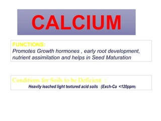 CALCIUM
FUNCTIONS:
Promotes Growth hormones , early root development,
nutrient assimilation and helps in Seed Maturation
Conditions for Soils to be Deficient :
Heavily leached light textured acid soils (Exch-Ca <120ppm)
 
