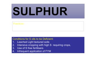 SULPHUR
Functions:
Constituent of amino acids, forms essential components of oils,
stimulates seed formation, promotes nodule formation in legumes
Conditions for S oils to be Deficient:
1. Leached Light textured soils
2. Intensive cropping with high S requiring crops,
3. Use of S free fertilisers
4. Infrequent application of FYM
 