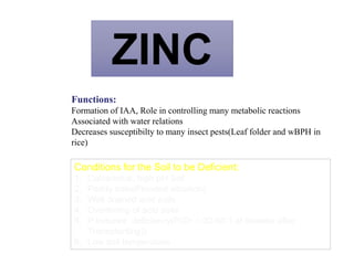 ZINC
Functions:
Formation of IAA, Role in controlling many metabolic reactions
Associated with water relations
Decreases susceptibilty to many insect pests(Leaf folder and wBPH in
rice)
Conditions for the Soil to be Deficient:
1. Calcareous, high pH Soil
2. Paddy soils(Flooded situation)
3. Well drained acid soils
4. Overliming of acid soils
5. P induced deficiency(P/Zn > 20-60:1 at 6weeks after
Transplanting))
6. Low soil temperature
 
