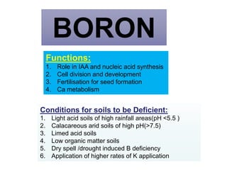 BORON
Functions:
1. Role in IAA and nucleic acid synthesis
2. Cell division and development
3. Fertilisation for seed formation
4. Ca metabolism
Conditions for soils to be Deficient:
1. Light acid soils of high rainfall areas(pH <5.5 )
2. Calacareous arid soils of high pH(>7.5)
3. Limed acid soils
4. Low organic matter soils
5. Dry spell /drought induced B deficiency
6. Application of higher rates of K application
 
