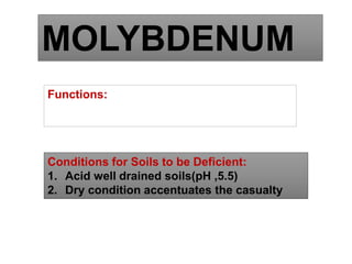 MOLYBDENUM
Functions:
1. Part of Nitrogenase and nitrrate reductase
2. Helps in N fixation and N assimilation
Conditions for Soils to be Deficient:
1. Acid well drained soils(pH ,5.5)
2. Dry condition accentuates the casualty
 