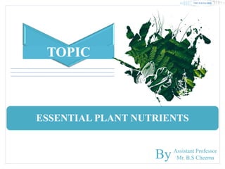 ESSENTIAL PLANT NUTRIENTS
TOPIC
Assistant Professor
Mr. B.S Cheema
By
 