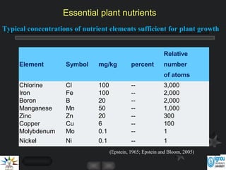 Element Symbol mg/kg percent
Relative
number
of atoms
Chlorine Cl 100 -- 3,000
Iron Fe 100 -- 2,000
Boron B 20 -- 2,000
Manganese Mn 50 -- 1,000
Zinc Zn 20 -- 300
Copper Cu 6 -- 100
Molybdenum Mo 0.1 -- 1
Nickel Ni 0.1 -- 1
Typical concentrations of nutrient elements sufficient for plant growth
Essential plant nutrients
(Epstein, 1965; Epstein and Bloom, 2005)
 