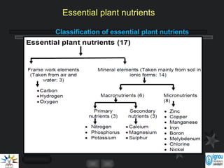 Classification of essential plant nutrients
Essential plant nutrients
 
