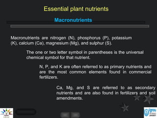 Ca, Mg, and S are referred to as secondary
nutrients and are also found in fertilizers and soil
amendments.
Macronutrients
Macronutrients are nitrogen (N), phosphorus (P), potassium
(K), calcium (Ca), magnesium (Mg), and sulphur (S).
The one or two letter symbol in parentheses is the universal
chemical symbol for that nutrient.
N, P, and K are often referred to as primary nutrients and
are the most common elements found in commercial
fertilizers.
Essential plant nutrients
 