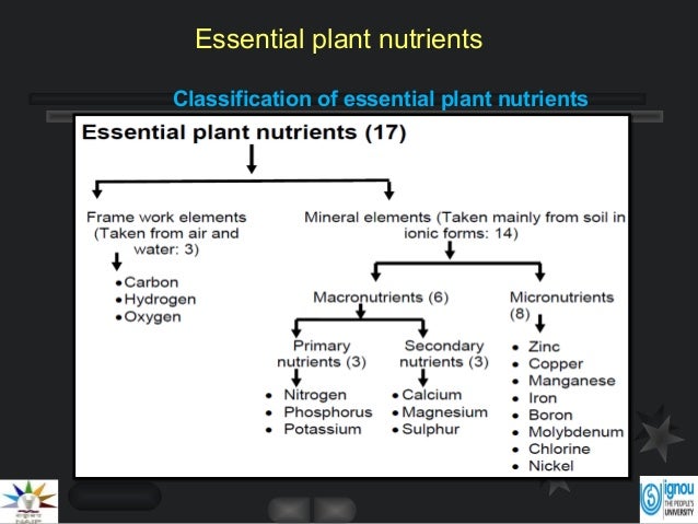 Essential plant nutrients by dilip kumar chandra