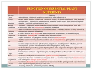 Essential plant nutrients,ppt | PPT