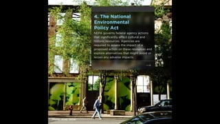 10 Essential Preservation Tools