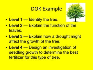 DOK Example
• Level 1 — Identify the tree.
• Level 2 — Explain the function of the
leaves.
• Level 3 — Explain how a drought might
affect the growth of the tree.
• Level 4 — Design an investigation of
seedling growth to determine the best
fertilizer for this type of tree.

 