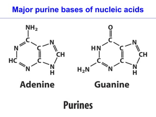Essential questions in nucleic acid chemistry | PPT