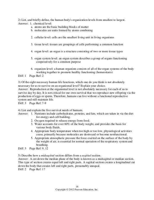 Essentials of Human Anatomy and Physiology 10th Edition Marieb Test B…