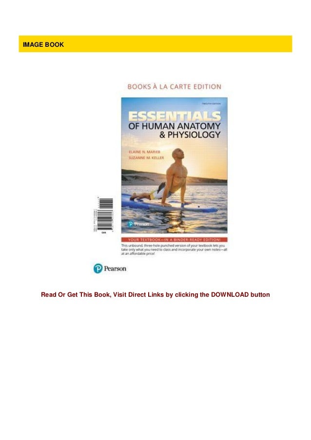 essential anatomy 3 for organizations activation code essential anatomy 3 for organizations activation code