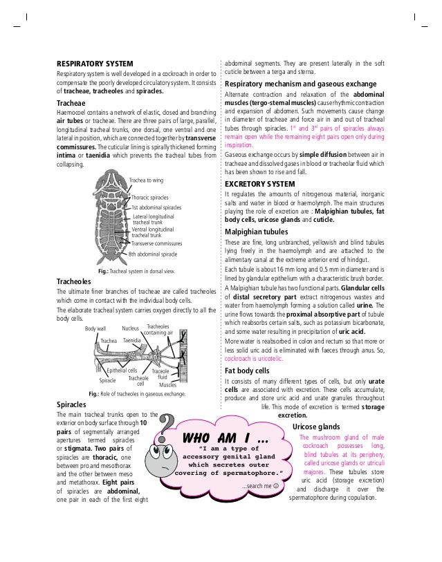 Crash-Course for AIPMT & Other Medical Exams 2016 (Essentials cockroa…