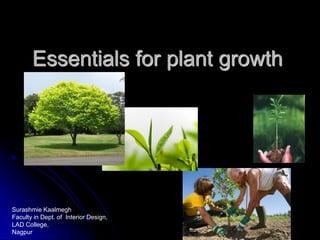 Essentials for plant growth
Surashmie Kaalmegh
Faculty in Dept. of Interior Design,
LAD College,
Nagpur
 