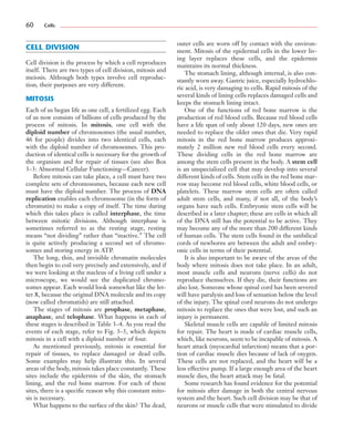 Anaohase Example Essentials of Anatomy and Physiology.pdf