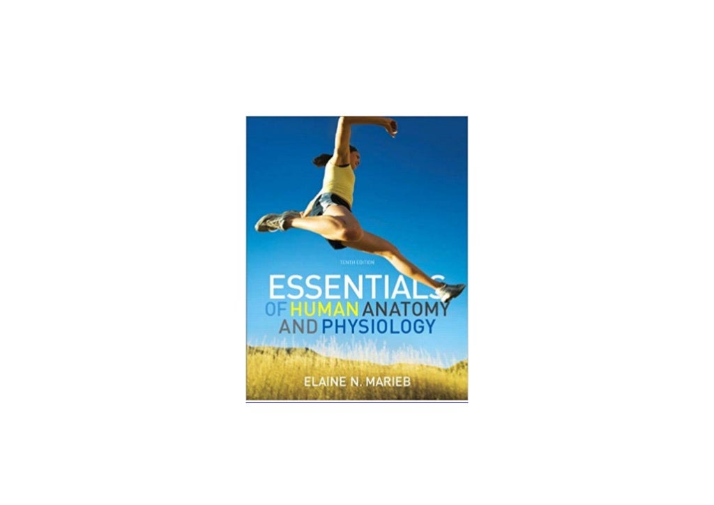 essential anatomy and physiology 10th edition essential anatomy and physiology 10th edition