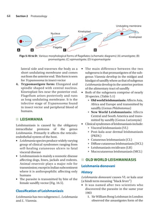 EssentialsofMedicalParasitology2014.pdf