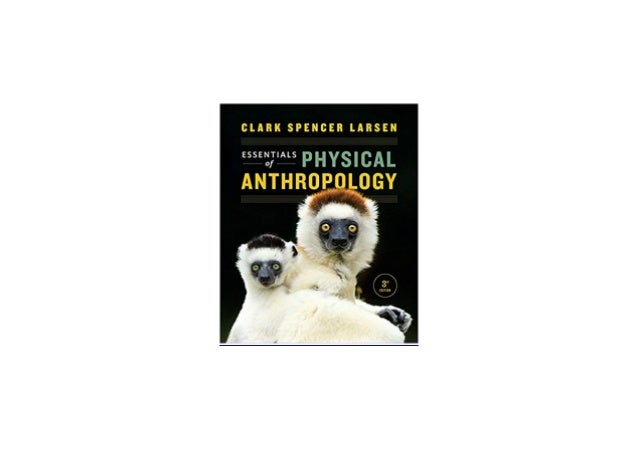 essentials of physical anthropology 3rd edition pdf download