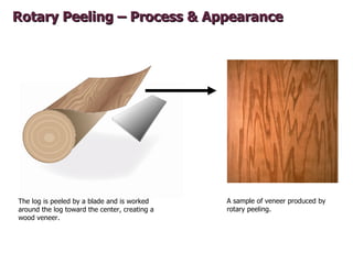Rotary Peeling – Process & Appearance




The log is peeled by a blade and is worked     A sample of veneer produced by
ar...