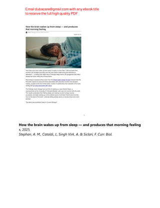 How the brain wakes up from sleep — and produces that morning feeling
x, 2025
Stephan, A. M., Cataldi, J., Singh Virk, A. & Siclari, F. Curr. Biol.
 