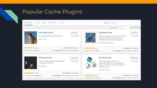 Popular Cache Plugins
 