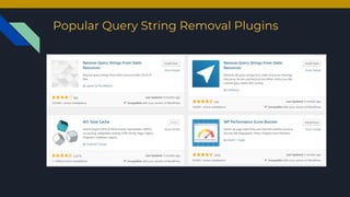 Popular Query String Removal Plugins
 