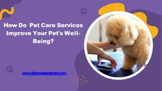 UpTo
www.blueoasispetcare.com
How Do Pet Care Services
Improve Your Pet's Well-
Being?
 