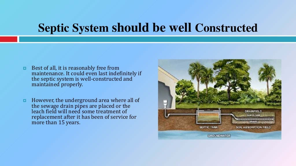 Essential Tips on How to Properly Maintain Your Septic System