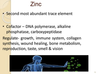 Zinc
16
• Second most abundant trace element
• Cofactor – DNA polymerase, alkaline
phosphatase, carboxypeptidase
Regulate- growth, immune system, collagen
synthesis, wound healing, bone metabolism,
reproduction, taste, smell & vision
 