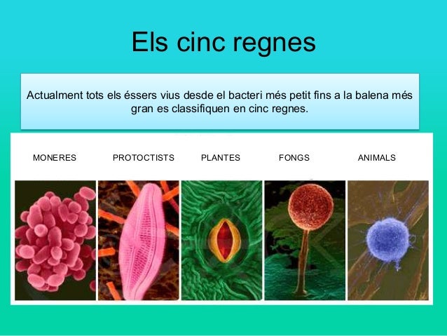 Els Éssers vius