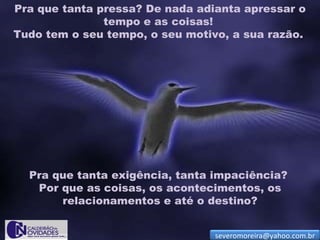 Pra que tanta pressa? De nada adianta apressar o
               tempo e as coisas!
Tudo tem o seu tempo, o seu motivo, a sua razão.




  Pra que tanta exigência, tanta impaciência?
   Por que as coisas, os acontecimentos, os
       relacionamentos e até o destino?


                                 severomoreira@yahoo.com.br
 