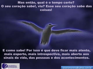 Mas então, qual é o tempo certo?
O seu coração sabe!, viu? Esse seu coração sabe das
                      coisas!




E como sabe! Por isso é que deve ficar mais atento,
 mais esperto, mais introspectivo, mais aberto aos
sinais da vida, das pessoas e dos acontecimentos.


                                  severomoreira@yahoo.com.br
 