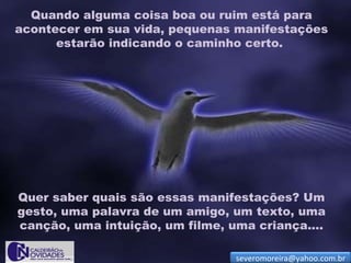 Quando alguma coisa boa ou ruim está para
acontecer em sua vida, pequenas manifestações
      estarão indicando o caminho certo.




Quer saber quais são essas manifestações? Um
gesto, uma palavra de um amigo, um texto, uma
canção, uma intuição, um filme, uma criança....

                                 severomoreira@yahoo.com.br
 