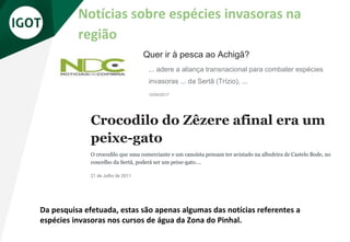 Crocodilo do Zêzere afinal era um
peixe-gato
O crocodilo que uma comerciante e um canoísta pensam ter avistado na albufeira de Castelo Bode, no
concelho da Sertã, poderá ser um peixe-gato….
21 de Julho de 2011
Notícias sobre espécies invasoras na
região
Quer ir à pesca ao Achigã?
... adere a aliança transnacional para combater espécies
invasoras ... da Sertã (Trízio), ...
12/04/2017
Da pesquisa efetuada, estas são apenas algumas das notícias referentes a
espécies invasoras nos cursos de água da Zona do Pinhal.
 