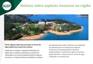 Existe alguma esperança para que os cursos de
água melhorem no que toca à fauna.
Ainda que os estudos e inquéritos efetuados nos
digam que as espécies autóctones se encontram
ameaçadas e em vias de extinção devido às espécies
invasoras, e o impacto destas nos habitats se traduza
Notícias sobre espécies invasoras na região
em alterações das cadeias tróficas e na competição
por habitat que leva à extinção das espécies
autóctones, consequentemente à perda de
biodiversidade, o controlo das espécies invasoras
poderá devolver a vida aos nossos cursos de água,
auxiliando a economia local.
 
