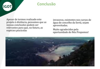 Apesar de termos realizado este
projeto à distância, pensamos que as
nossas conclusões podem ser
relevantes para que, no futuro, as
espécies piscícolas
Conclusão
invasoras, existentes nos cursos de
água do concelho da Sertã, sejam
aproveitadas.
Muito agradecidos pela
oportunidade do Nós Propomos!
 