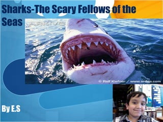 Sharks-The Scary Fellows of the Seas  By E.S 