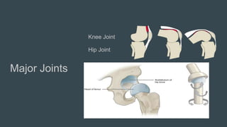 Major Joints
Knee Joint
Hip Joint
 