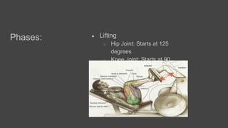 Phases: ● Lifting
○ Hip Joint: Starts at 125
degrees
○ Knee Joint: Starts at 90
degrees
 