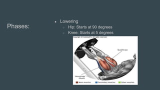 Phases:
● Lowering
○ Hip: Starts at 90 degrees
○ Knee: Starts at 5 degrees
 