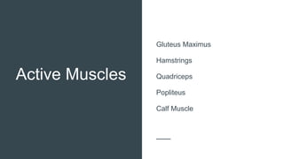 Active Muscles
Gluteus Maximus
Hamstrings
Quadriceps
Popliteus
Calf Muscle
 