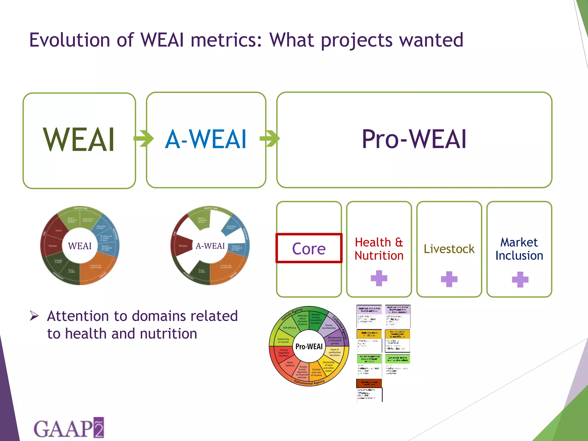 The Women’s Empowerment in Agriculture Index (WEAI): Quantitative and ...