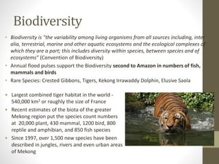 Biodiversity
• Biodiversity is "the variability among living organisms from all sources including, inter
alia, terrestrial, marine and other aquatic ecosystems and the ecological complexes of
which they are a part; this includes diversity within species, between species and of
ecosystems” (Convention of Biodiversity)
• Annual flood pulses support the Biodiversity second to Amazon in numbers of fish,
mammals and birds
• Rare Species: Crested Gibbons, Tigers, Kekong Irrawaddy Dolphin, Elusive Saola
 Largest combined tiger habitat in the world -
540,000 km2 or roughly the size of France
 Recent estimates of the biota of the greater
Mekong region put the species count numbers
at 20,000 plant, 430 mammal, 1200 bird, 800
reptile and amphibian, and 850 fish species
 Since 1997, over 1,500 new species have been
described in jungles, rivers and even urban areas
of Mekong
 
