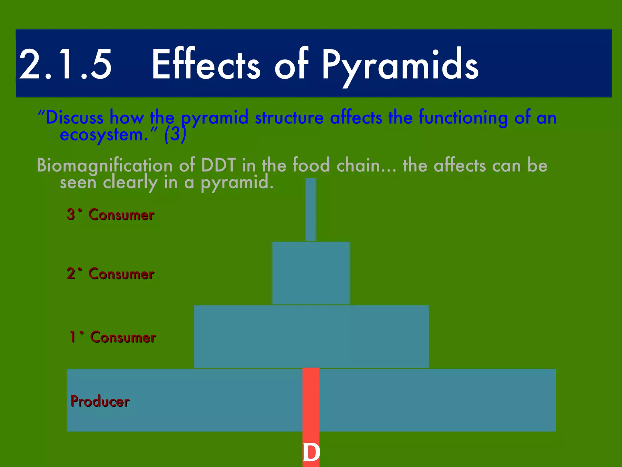 2.1.5  Effects of Pyramids “ Discuss how the pyramid structure affects the functioning of an ecosystem. ” (3) Biomagnification of DDT in the food chain... the affects can be seen clearly in a pyramid.  DDT 2˚ Consumer 1˚ Consumer 3˚ Consumer Producer 