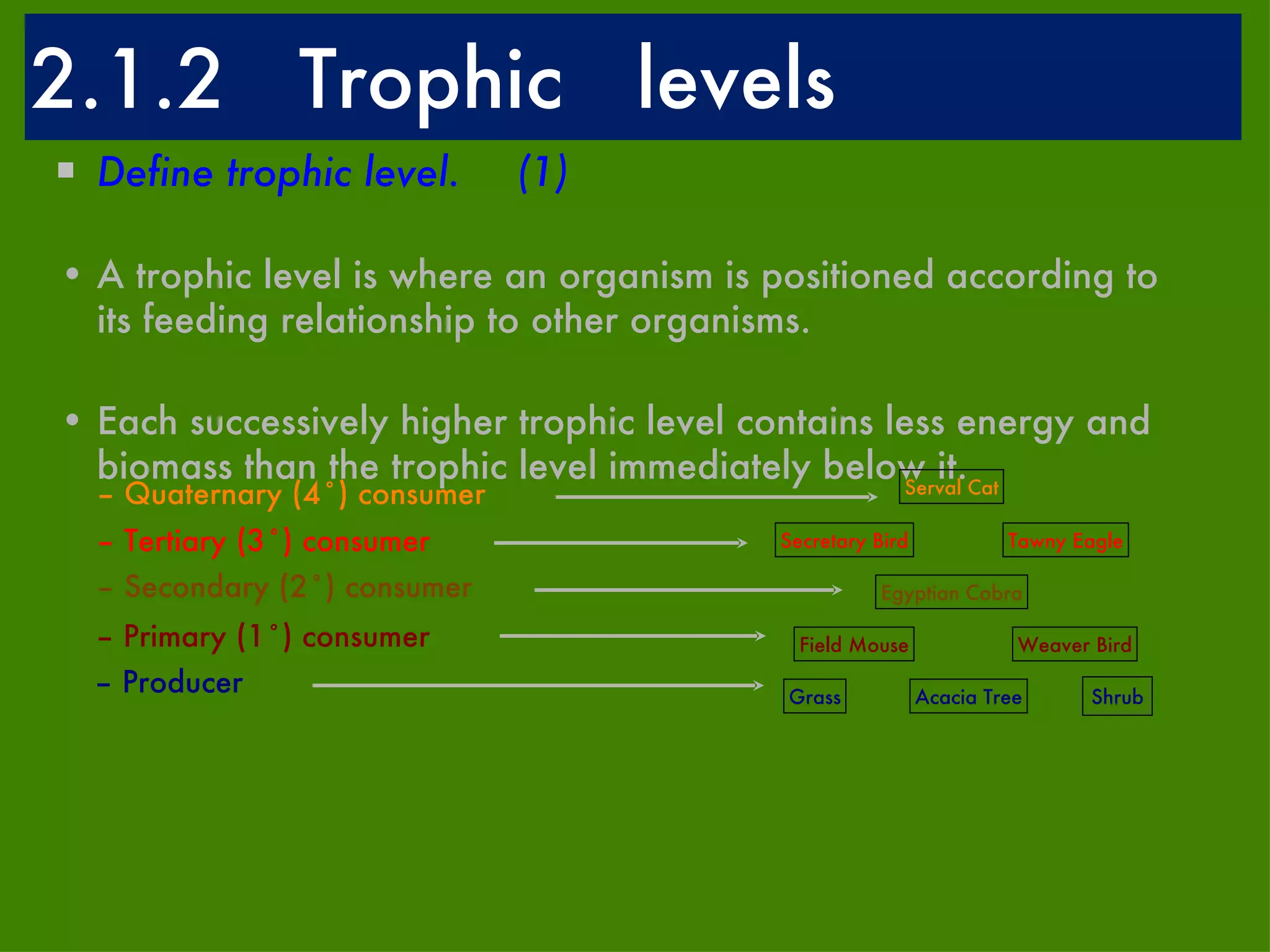 2.1.2  Trophic  levels Define trophic level.  (1)  A trophic level is where an organism is positioned according to its feeding relationship to other organisms. Each successively higher trophic level contains less energy and biomass than the trophic level immediately below it. Egyptian Cobra Grass Acacia Tree Shrub Field Mouse Weaver Bird Secretary Bird Tawny Eagle Serval Cat Quaternary (4˚) consumer Tertiary (3˚) consumer Secondary (2˚) consumer Primary (1˚) consumer Producer 