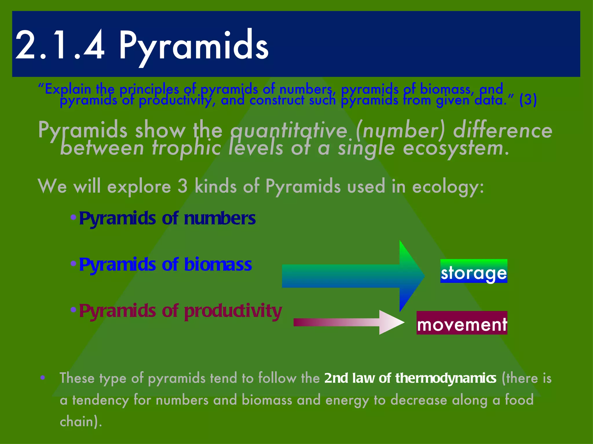2.1.4 Pyramids “ Explain the principles of pyramids of numbers, pyramids of biomass, and pyramids of productivity, and construct such pyramids from given data.” (3) Pyramids show the  quantitative (number) difference between trophic levels of a single ecosystem.  We will explore 3 kinds of Pyramids used in ecology: Pyramids of numbers Pyramids of biomass Pyramids of productivity These type of pyramids tend to follow the   2nd law of thermodynamics   (there is a tendency for numbers and biomass and energy to decrease along a food chain).  storage movement 
